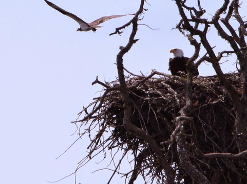 Tualatin River National Wildlife Refuge-Sherwood必去景点