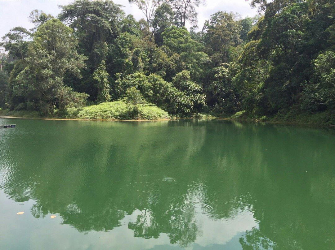 National Botanical Garden景点图片