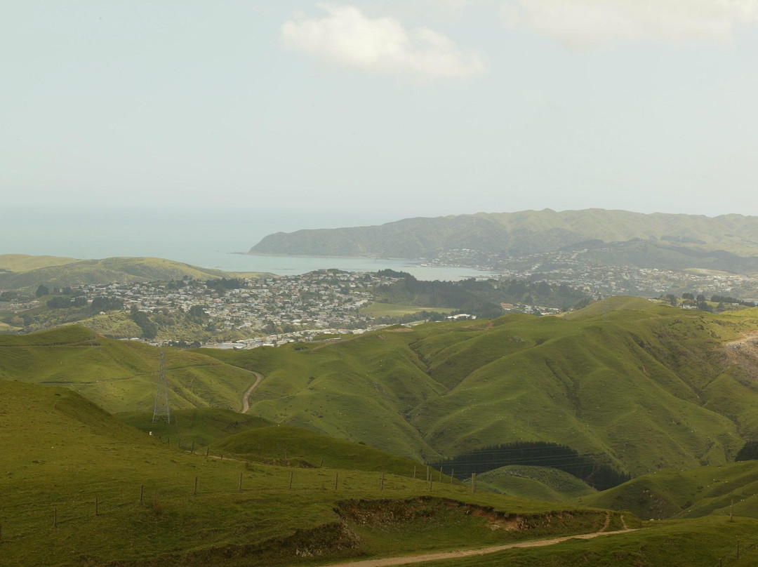 Belmont Regional Park-惠灵顿必去景点
