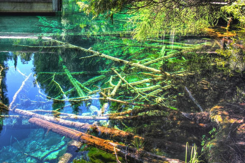 Palms Book State Park-Manistique必去景点