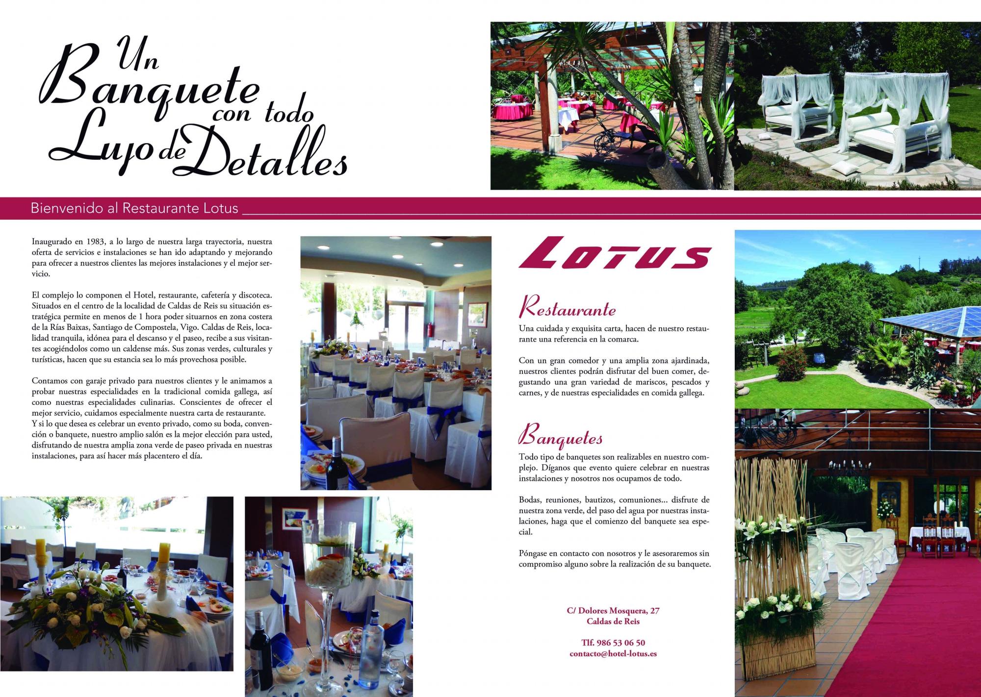 Hotel Lotus-官方