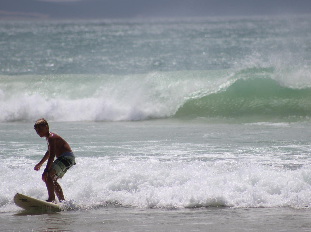 Surf-Jbay Surf School景点图片