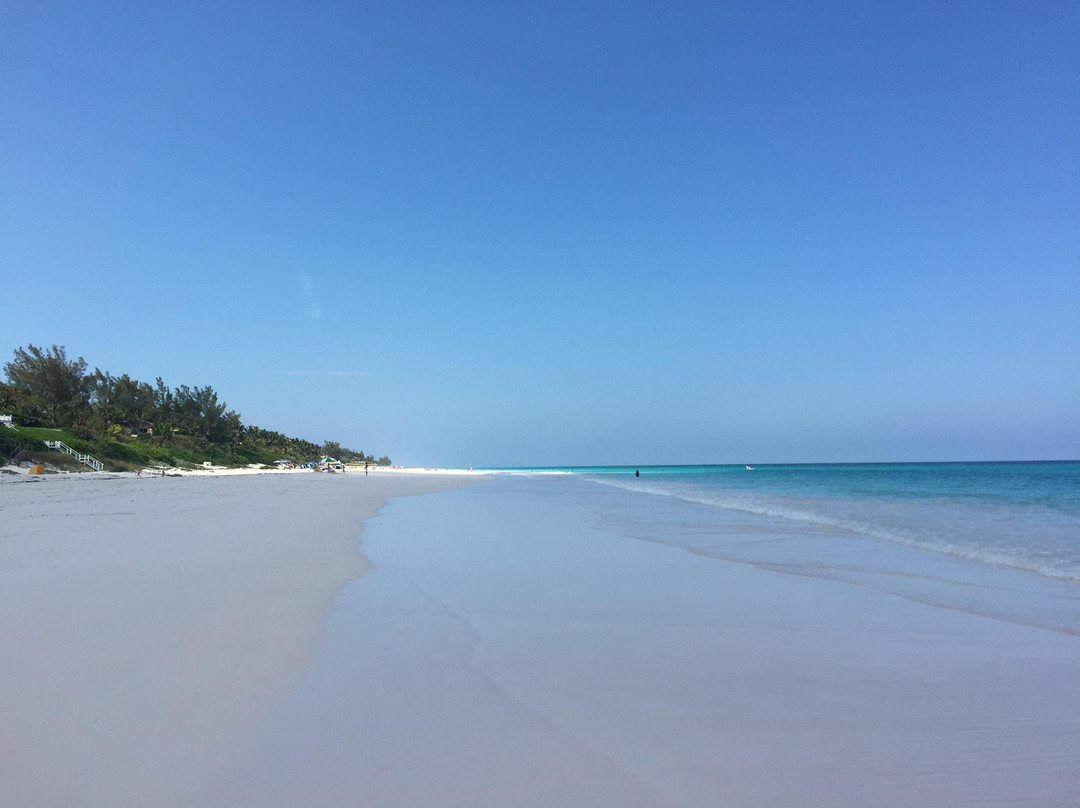 Pink Sands Beach-哈勃岛必去景点