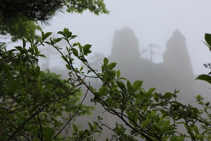 石笋峰-黄山市必去景点