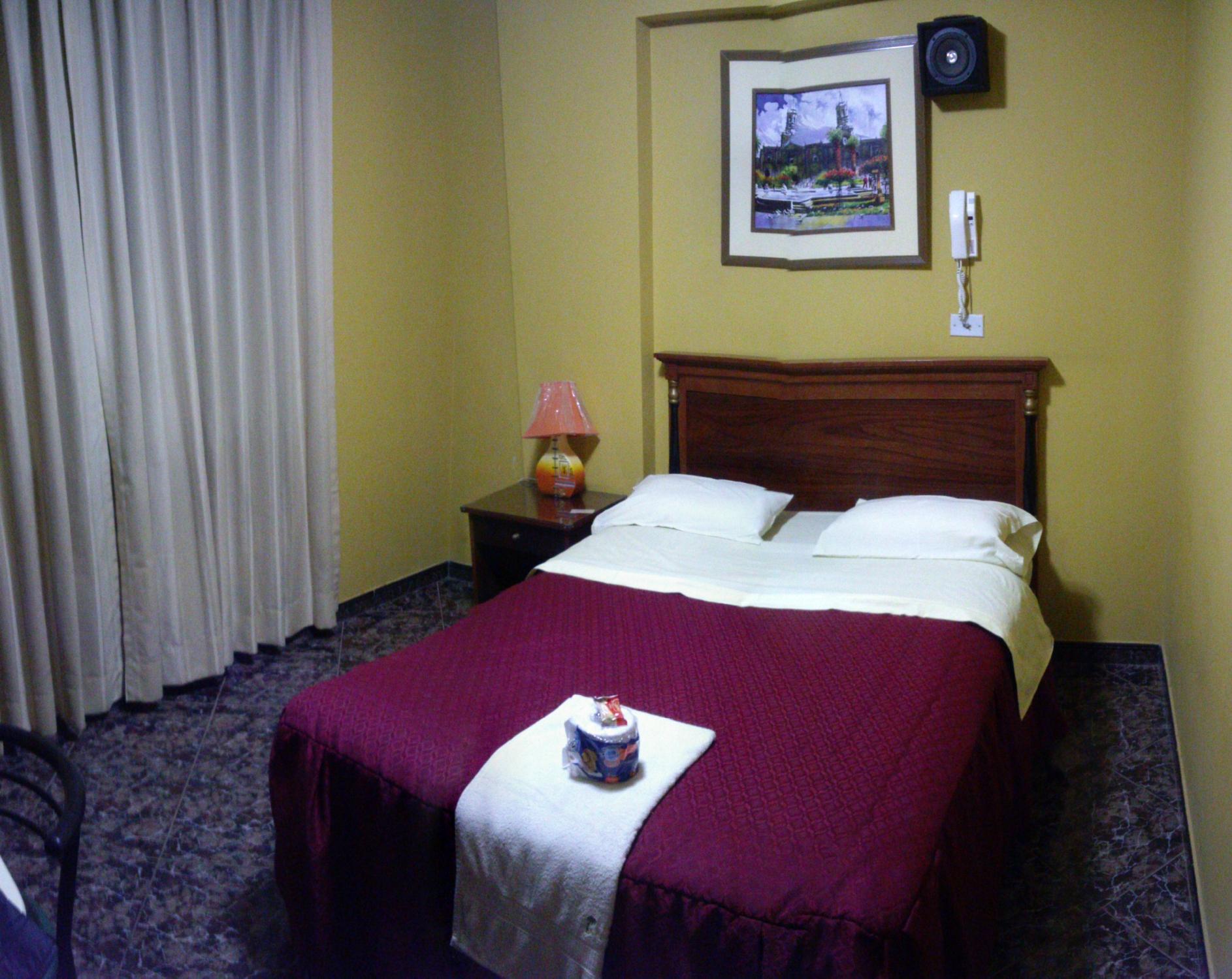 Hotel Amazonas-客卧