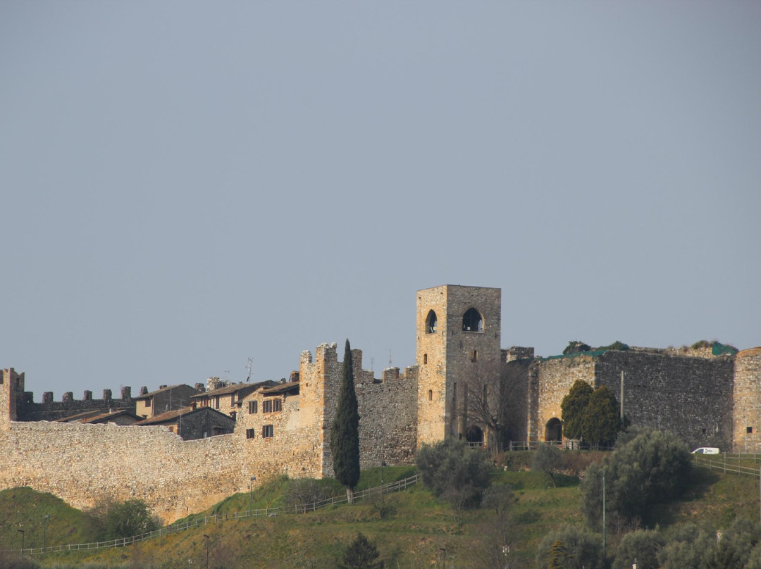 Castello di Padenghe景点图片
