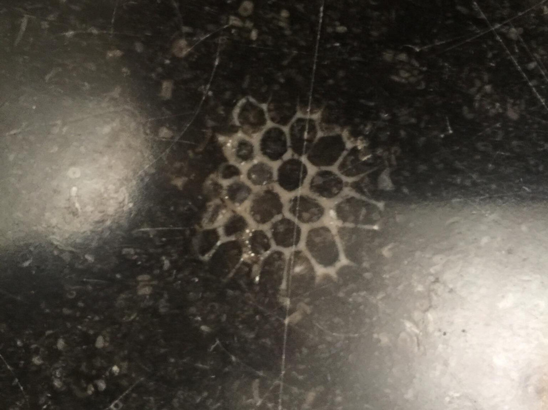 国会大厦-堪培拉必去景点