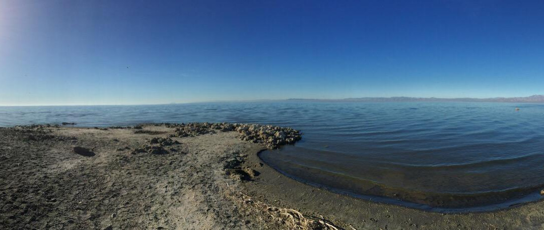 Salton Sea-Salton City必去景点