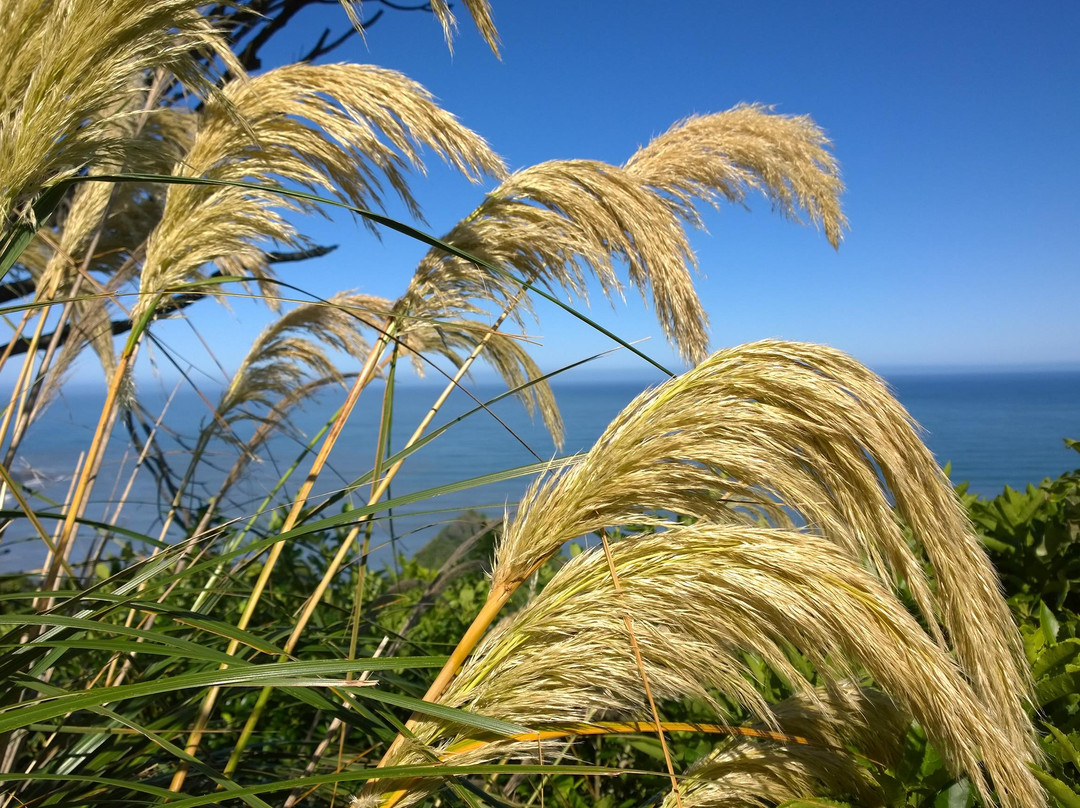 The Great Coast Road景点图片