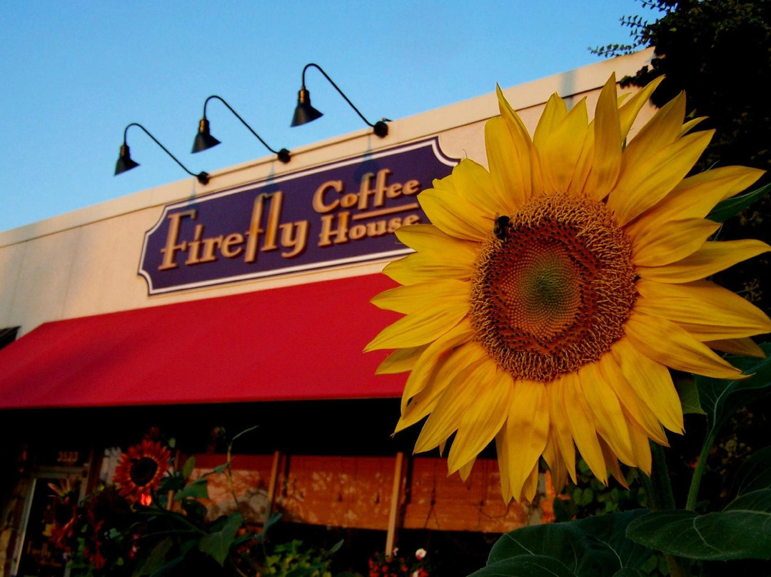 Firefly Coffee House