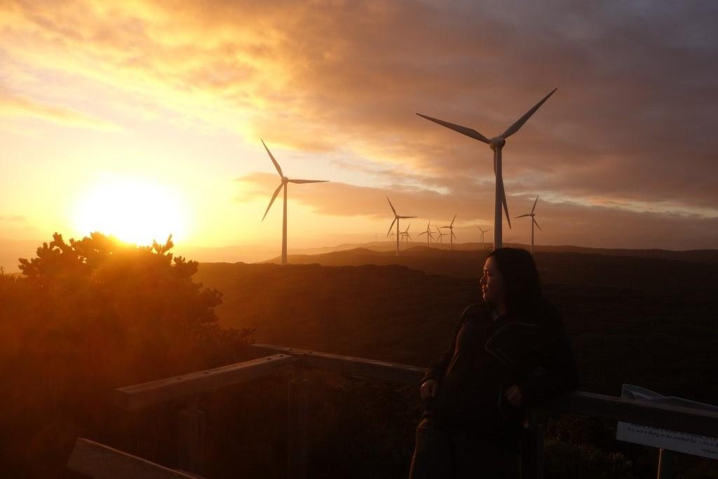 Albany Wind Farm-奥尔巴尼必去景点