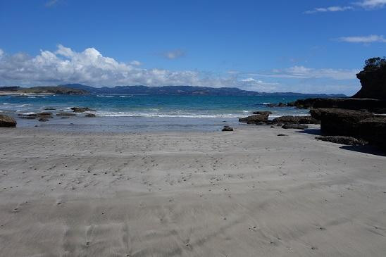 Tawharanui Regional Park-瓦卡沃夫必去景点