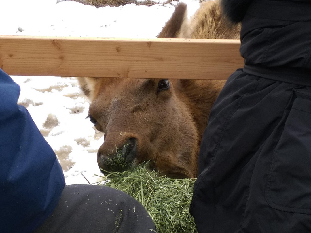 Hap and Florence Points Sleigh Rides-Donnelly必去景点