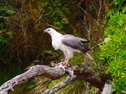 Lonsdale Eco Cruises-莱克斯恩特伦斯必去景点