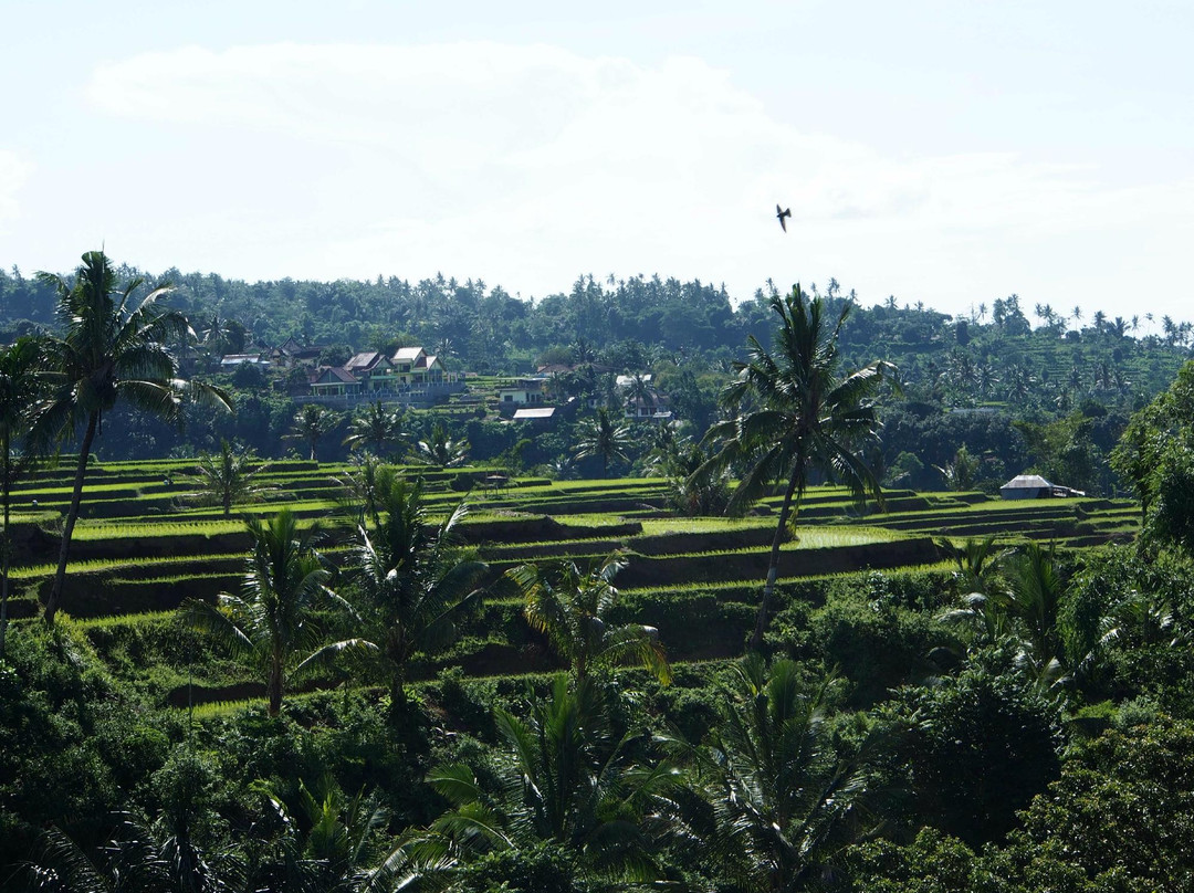 Rinjani Dawn Adventures-Senaru必去景点