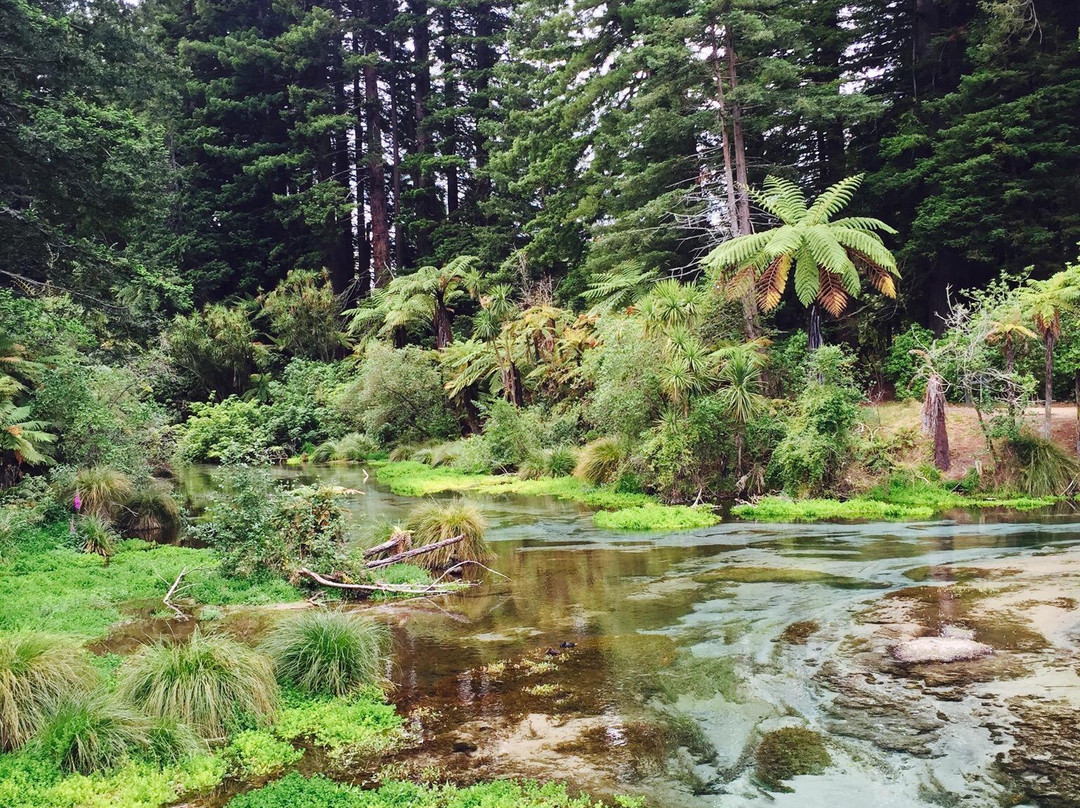Hamurana Springs Nature Reserve景点图片