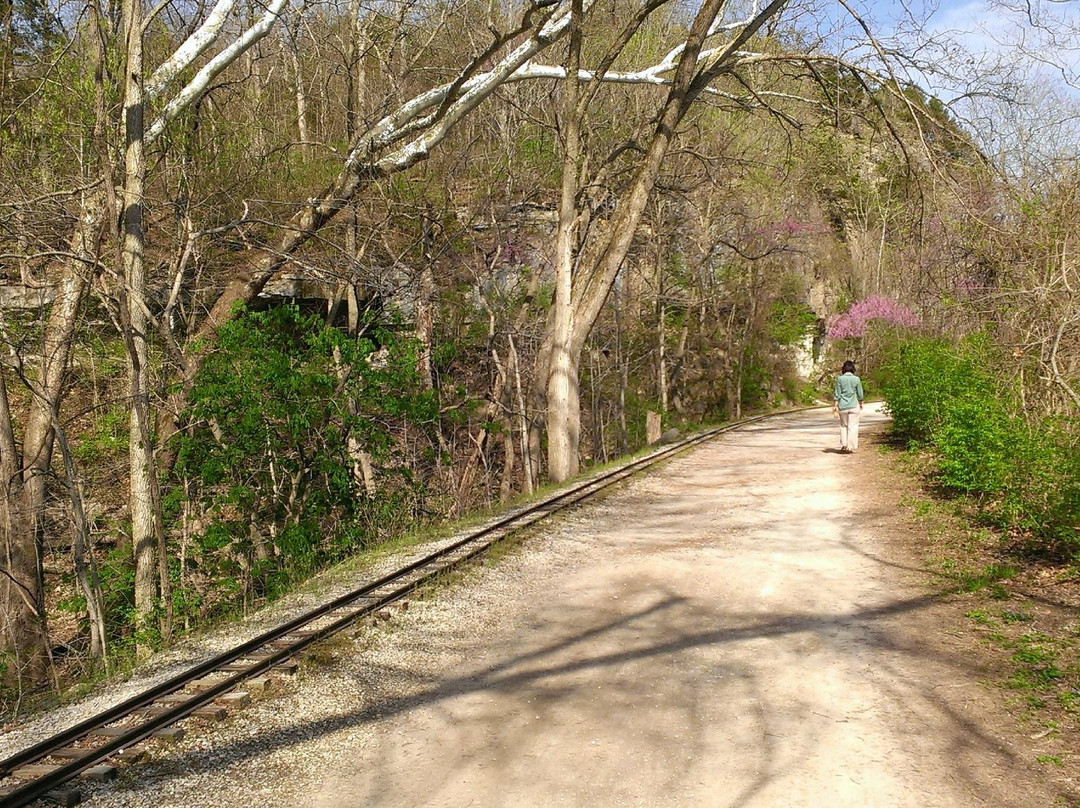 Al Foster Memorial Trail景点图片