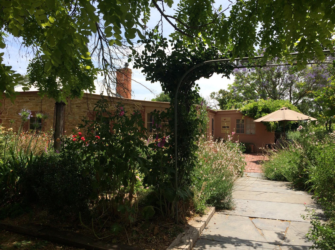 Fox Creek Wines景点图片