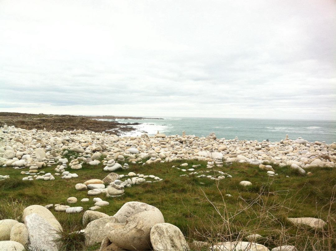 Station LPO (Ligue de protection des oiseaux) de l Ile Grande-Pleumeur Bodou必去景点