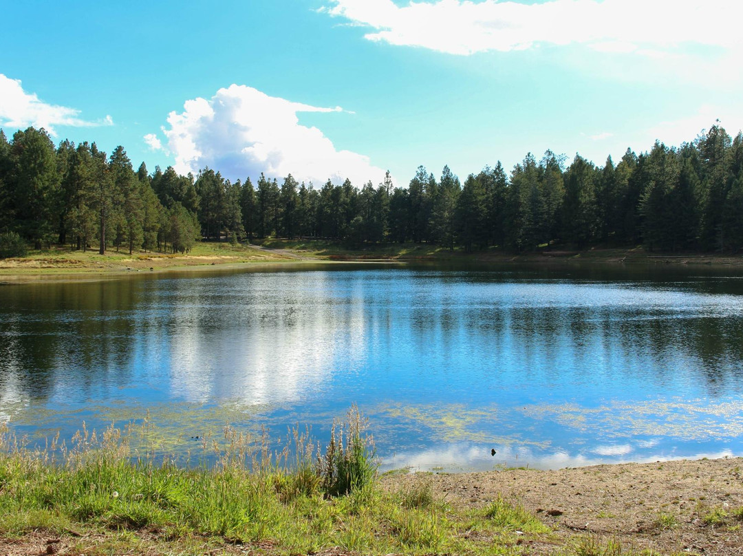 Mount Graham International Observatory-Safford必去景点