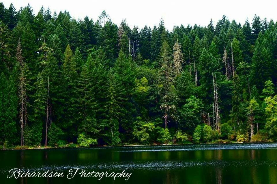 Battle Ground Lake State Park景点图片