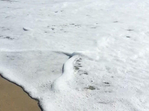 Torrance State Beach-雷东多海滩必去景点