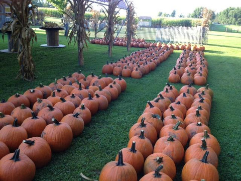 Long Acre Farms-Macedon必去景点