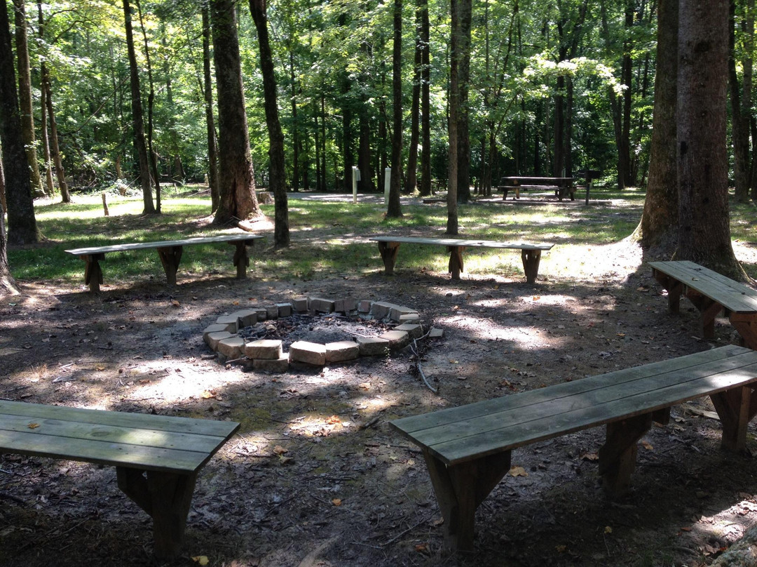 Meeman-Shelby Forest State Park景点图片