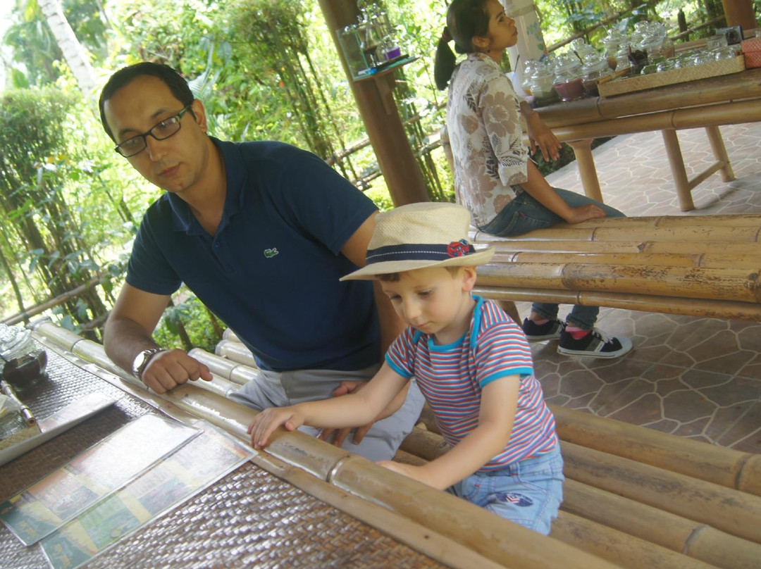 Anggun Bali Tours-登巴萨必去景点