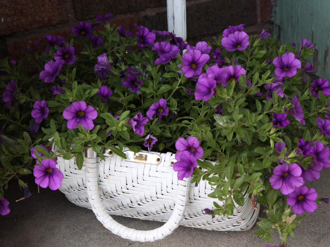 Antique City Drive-Walnut必去景点