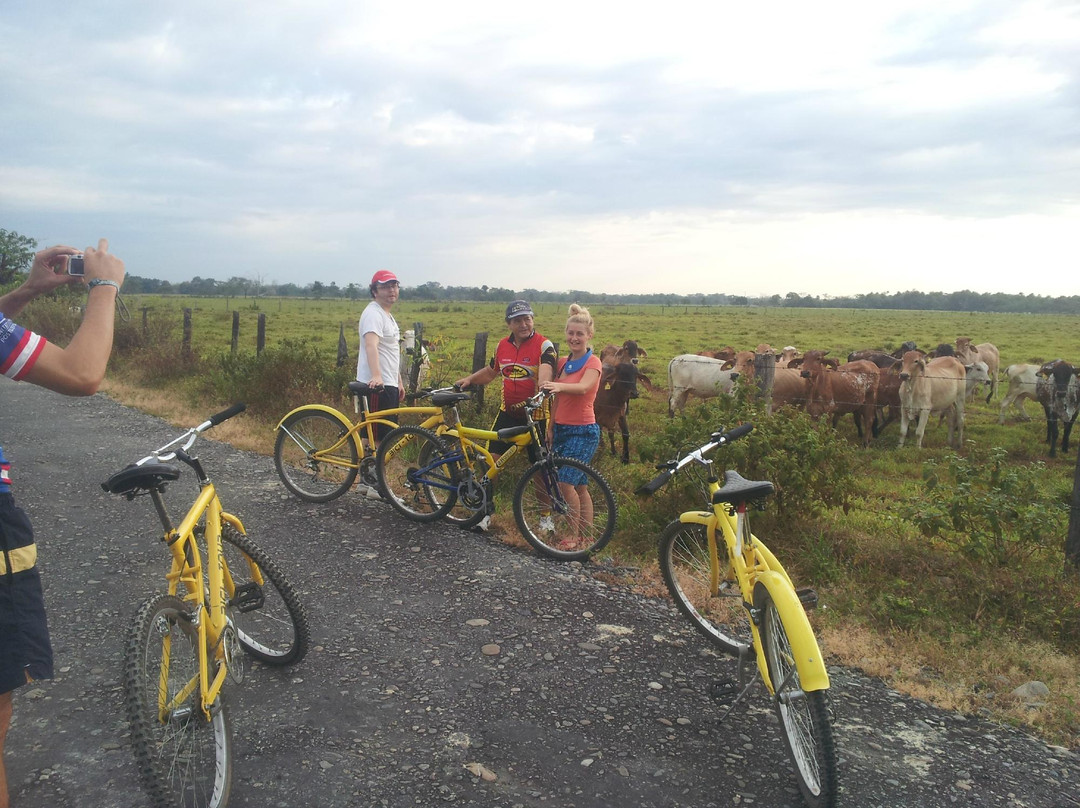 Bici Tour-San Martin必去景点