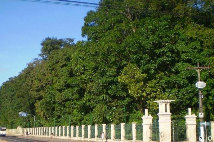 Parque Ecologico do Municipio de Belem-贝伦必去景点