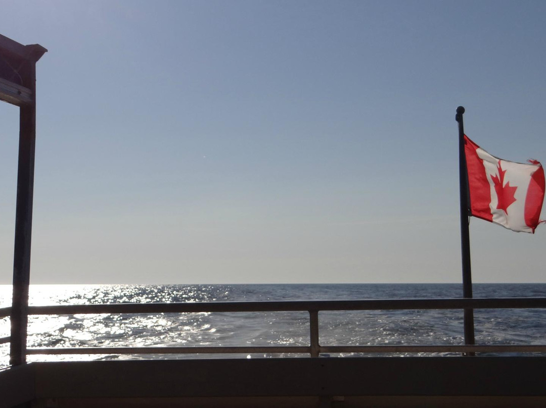 Whale Cruisers-Cheticamp必去景点