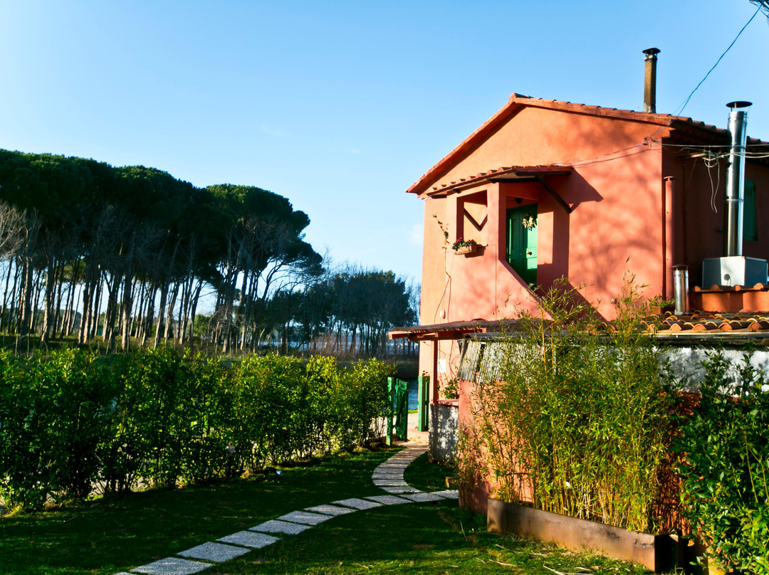 Proprietà Scalfati