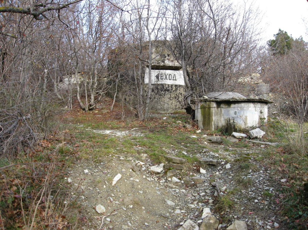 Battery number 394 Captain A.E. Zubkov景点图片