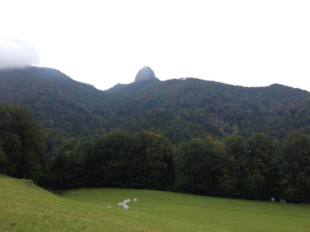 Haus Rattenbock主图