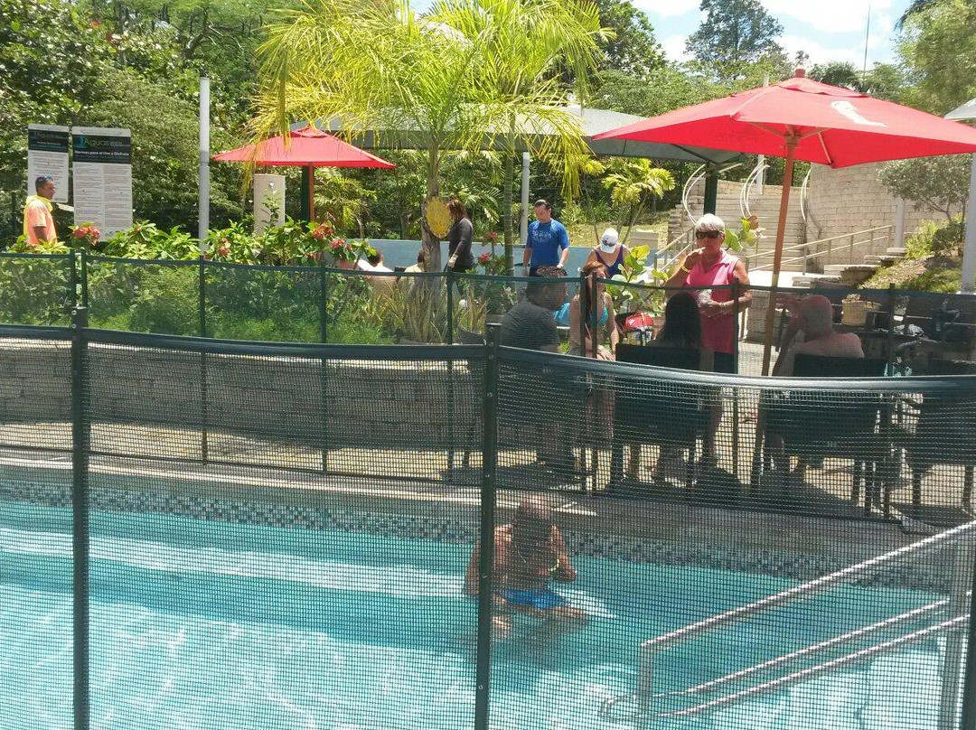 Coamo Thermal Hot Springs-波多黎各必去景点