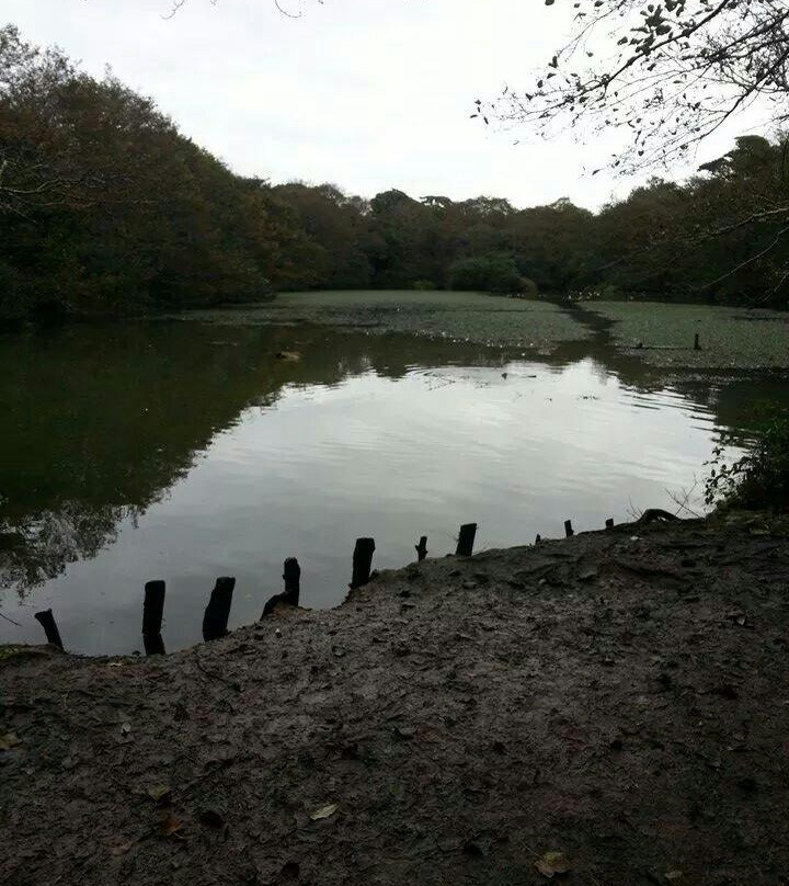 Tehidy Country Park-Camborne必去景点