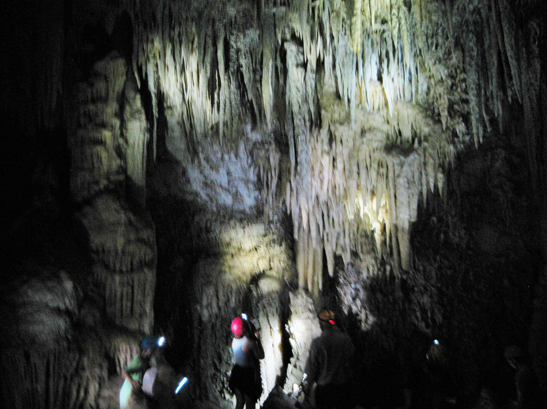 Kickapoo Cavern State Park-Brackettville必去景点