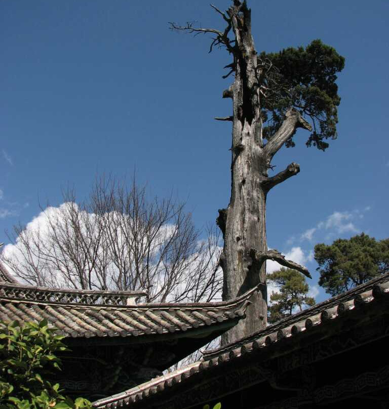 丽江北岳庙-丽江市必去景点