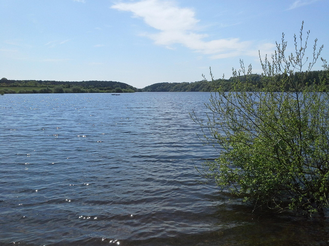 Tittesworth Water景点图片