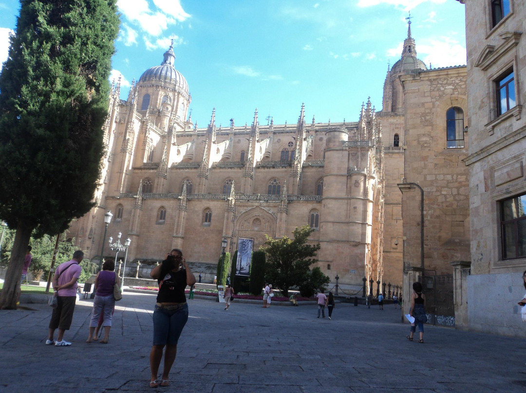 Pontifical University of Salamanca景点图片