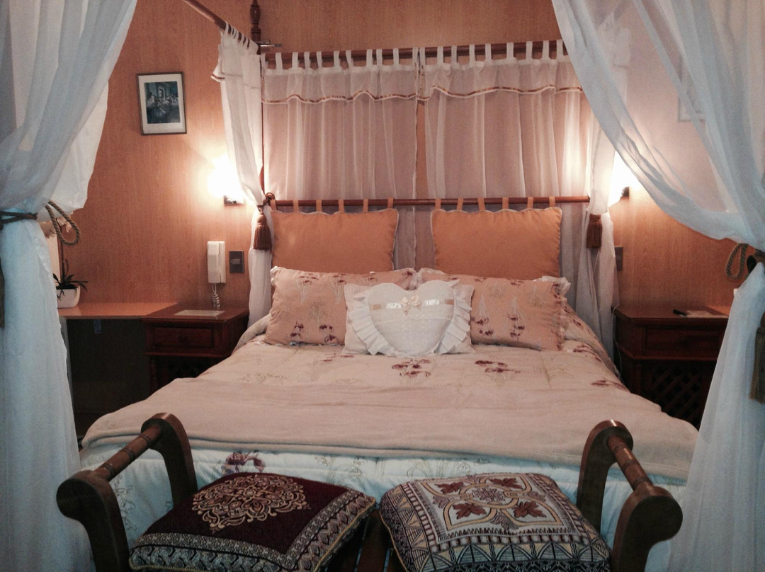 Salamanca酒店住宿-Hotel y Cabanas La Rosa Nautica