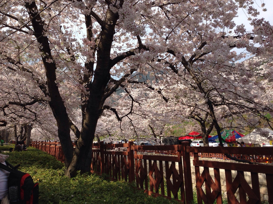 Yeojwacheon Stream-昌原市必去景点