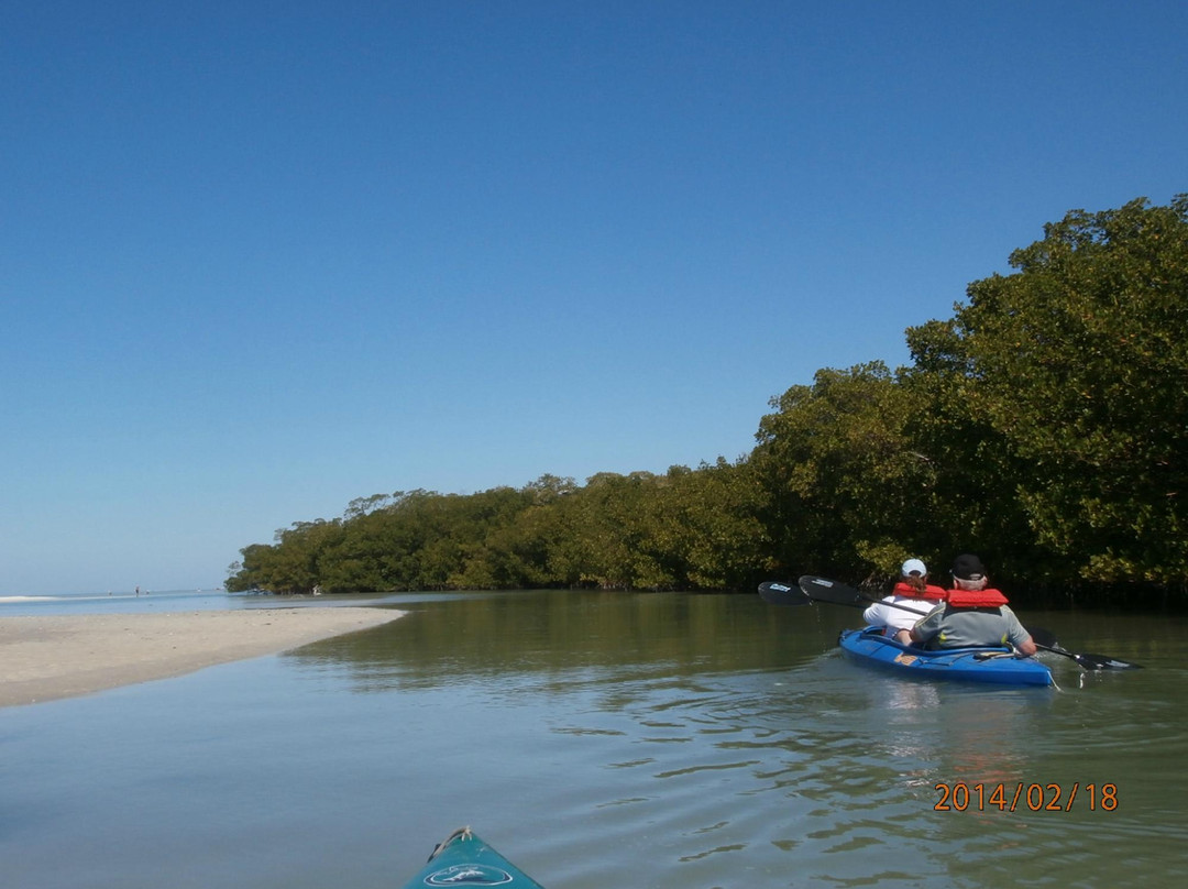 GAEA Guides - Guided Kayak Nature Tours-迈尔斯堡必去景点