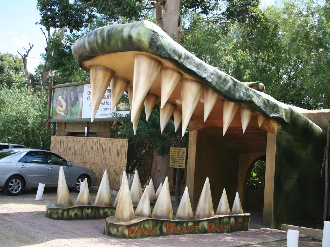 Cango Wildlife Ranch-奥兹洪必去景点