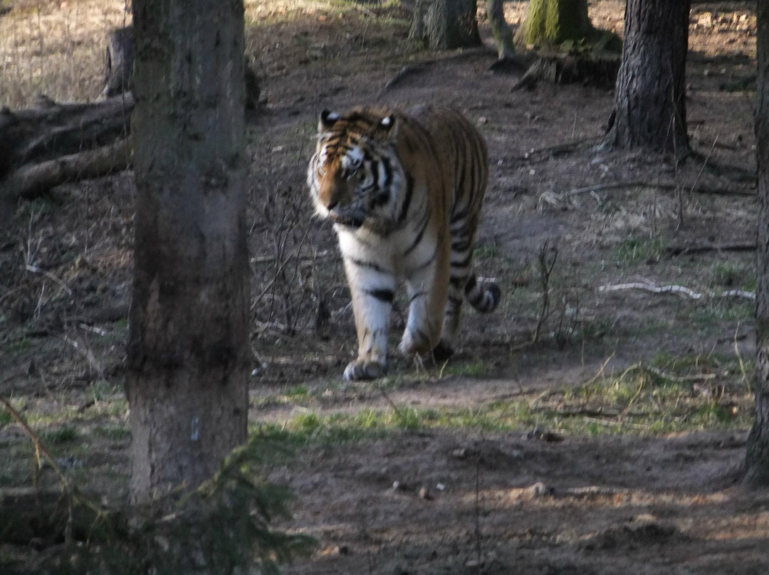 Zoo Eberswalde景点图片