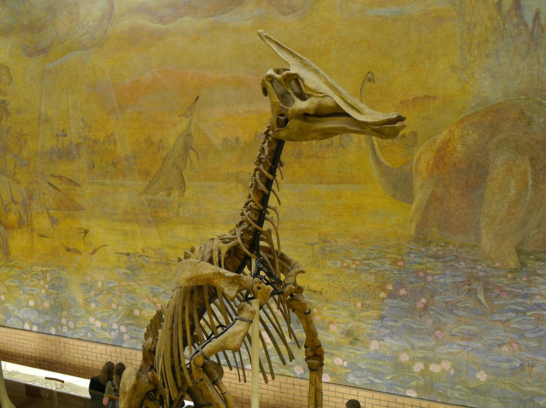 Orlov Paleontological Museum-莫斯科必去景点