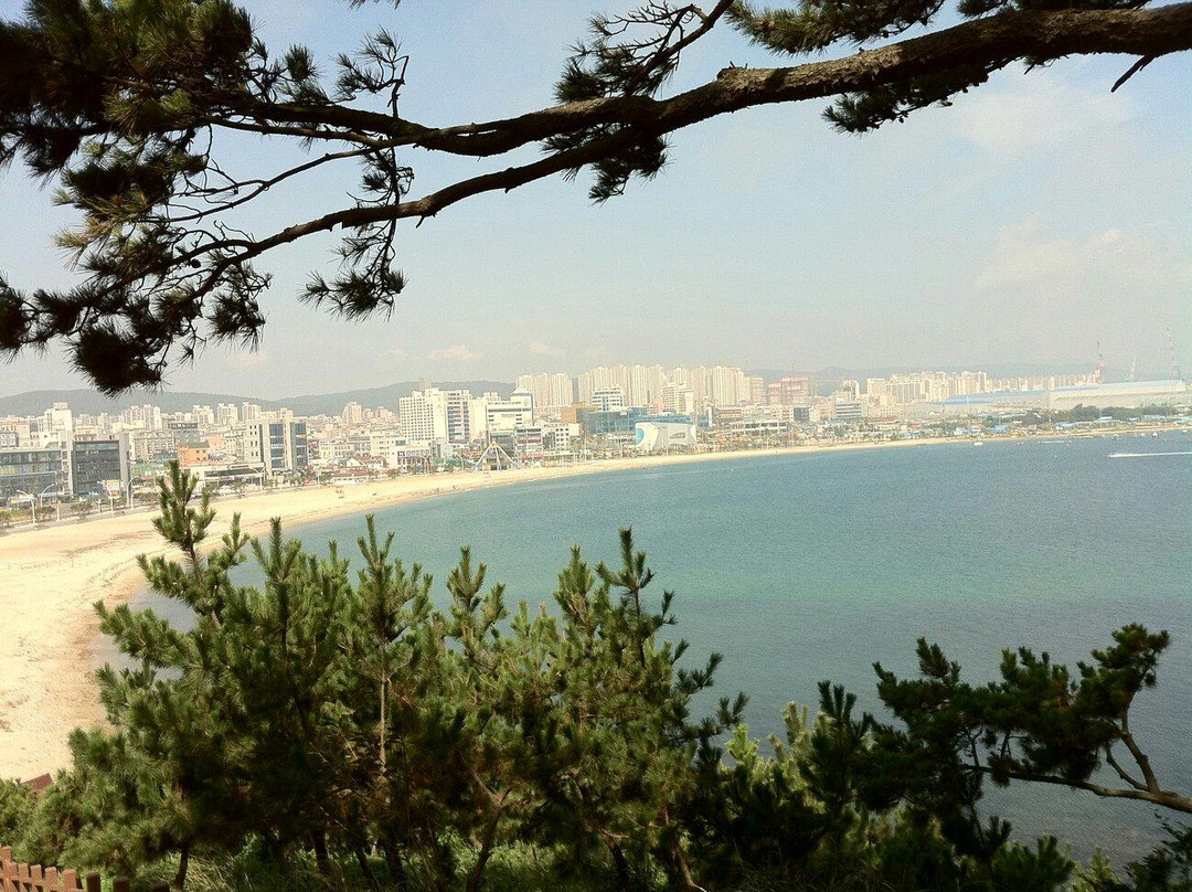 Daewangam Park-蔚山必去景点