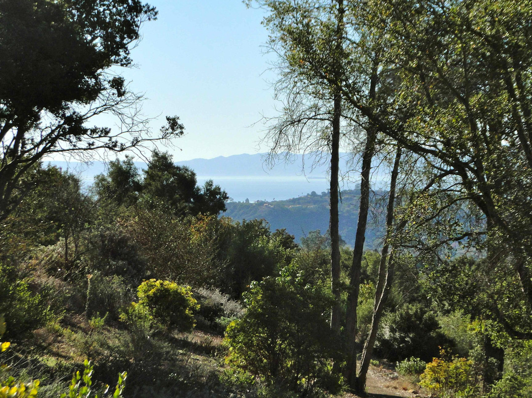 圣巴巴拉热带花园-圣巴巴拉必去景点